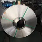 Hot 2b/ba/hl Stainless Steel Strips