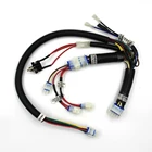 Car ISO Wire Harness Car Harnesses Auto Wire Harness for Electric Vehicle