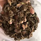 1028 Hong jing tian Top Selling Chinese Herbal Medicine Rhodiola Rosea Root