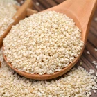 Wholesales High quality 1kg Chinese Roasted Nature sesame seeds White Sesame seeds for Sushi