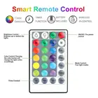 Outdoor Lights Color Changing Light Remote Decorative Waterproof Rgb String Lamp Copper Wire Led