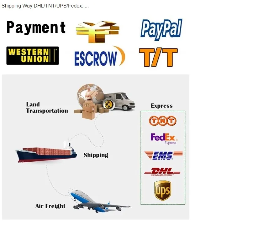 b2.jpg