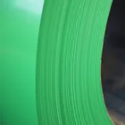 Color Coated Strip Coated Custom Printed Painted Color Coated Steel Coil Strip For Wholesale