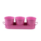 BX metal flower plant seed pot bucket 3 set
