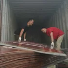 Door Skin Wpc Wood Door Price Low MOQ 3mm Thick Durable Wpc Material Door Wood Skin