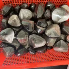 Hand Carved Crystal Heart Rare Silver Obsidian Heart For Gift