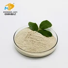 Grade Bacillus Probiotics OEM Feed Grade Probiotics From China Manufacturer Bacillus Subtilis Powder