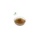 Factory Supply Natural Lion's Mane Mushroom Extract Powder 20:1