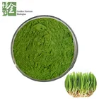 Good price for Triticum aestivum L Wheat Grass Powder