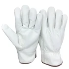 Sock Leather Factory Hot Sale Full Sock Liner Sheep Grain Leather Bus Truck Driver Working Winter Gloves