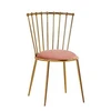 Leisure Modern Chair , Creative Living Room Metal Makeup Chair , Pink