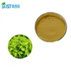 SOST Natural Organic Stinging Nettle Root Extract Powder