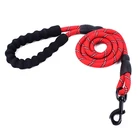 Wholesale price dog leash with padded collar nylon neoprene handle Good Service