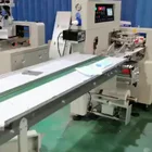 Fully Automatic Horizontal Pillow Packaging Surgical Medical Face Mask Packing Machine