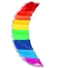 /product-detail/hot-selling-dual-line-rainbow-beach-stunt-kite-for-adult-and-kids-62144707817.html