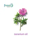 Farwell Therapeutic Grade Natural Geranium Essential Oil cas8000-46-2