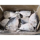 Fish Chinese Wholesaler Affordable Moon Fish For Marketing