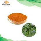 Green Health Stem Leaf Bamboo Shoot Extract