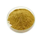 Vacuum Packed Milk Thistle Milk Thistle Extract Natural Milk Thistle Extract Powder Silymarin 60% Silybum Marianum