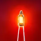 NE-2H Red color High brightness neon lamp assembly bulbs neon tubes 110V/220V AC