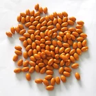 Noni Extract Soft Capsule Softgel Weight Loss Skin Whitening Softgel Capsules Gel Candy