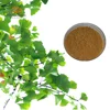 /product-detail/usp-standard-purely-natural-bulk-powder-flavone-glycosides-ginkgo-biloba-extract-24-6-62418055698.html