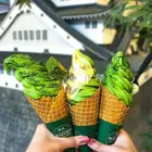 Baking Food Ingredients Matcha Green Tea Ice Cream Powder