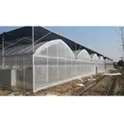 Simple plastic covering agricultural greenhouse for seeding