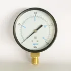 4" Y100 0-1.6MPa M20*1.5 100MM Black Iron Case Copper Connection Lower Mount Manifold Manometer Boiler Pressure Gauge