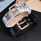 Hot PU Leather Belt Woman Chic Fashion Snake Skin Print Sexy Jeans Designer Belt