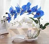 /product-detail/high-simulation-real-touch-orchids-artificial-silk-orchid-flower-potted-white-flower-arrangement-62316170721.html