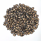 2019 new crop black watermelon seed