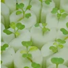 Low Price Agricultural Hydroponic Grow Systems Vertical Polyurethane Seeding Planting Sponge