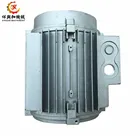 Custom China oem cast aluminum die casting foundry