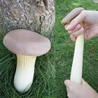 TPR soft stress stretchy vegetable mushroom squeeze toy