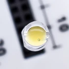 Czinelight Manufacturer Special Style 60 Degree Angle Large Cup Emitting Led Diode 5mm Led Dip White Yellow Blue Red