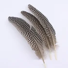 Feathers Wing Feather Natural Dyed 15-20cm Pheasant Feathers Guinea Fowl Pheasant Wing Feather
