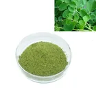 Product Moringa Powder Powder Best Product Top Quality Moringa Oleifera Leaf Extract Powder With Free Sample