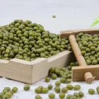 Mung Beans Mung Beans Green Certified 100% Pure For Green Mung Beans Wholesale Price For Sprouting Mung Beans