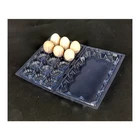Disposable Egg Trays Wholesale Transparent Rectangular Chicken Disposable Plastic Egg Trays