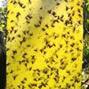 /product-detail/low-cost-sticky-insect-paper-doble-side-insect-yellow-sticky-traps-flying-catcher-stick-fly-paper-62250351123.html