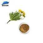 Extract Flavonoids Flavonoids Herbal Extract Powder Herbal Extract Dandelion Extract 3% Flavonoids Powder