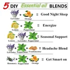 Wholesale Aromatherapy Essential Oil Bulk Rose Oil / Tea Tree / Eucalyptus / Lemon / Peppermint /Lavender Essential Oil