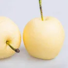 Pear Supply Chinese Fresh Fruit Snow Pear Style GAP Color Weight Origin Type Variety Size Grade BRC ISO