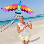 Packaging Customization Hot Sale Beautiful Flying Bird Phoenix Kite