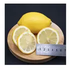 Fruit New Arrival Lemon Peel Meta-Acid Lemon Fresh Citrus Fruit