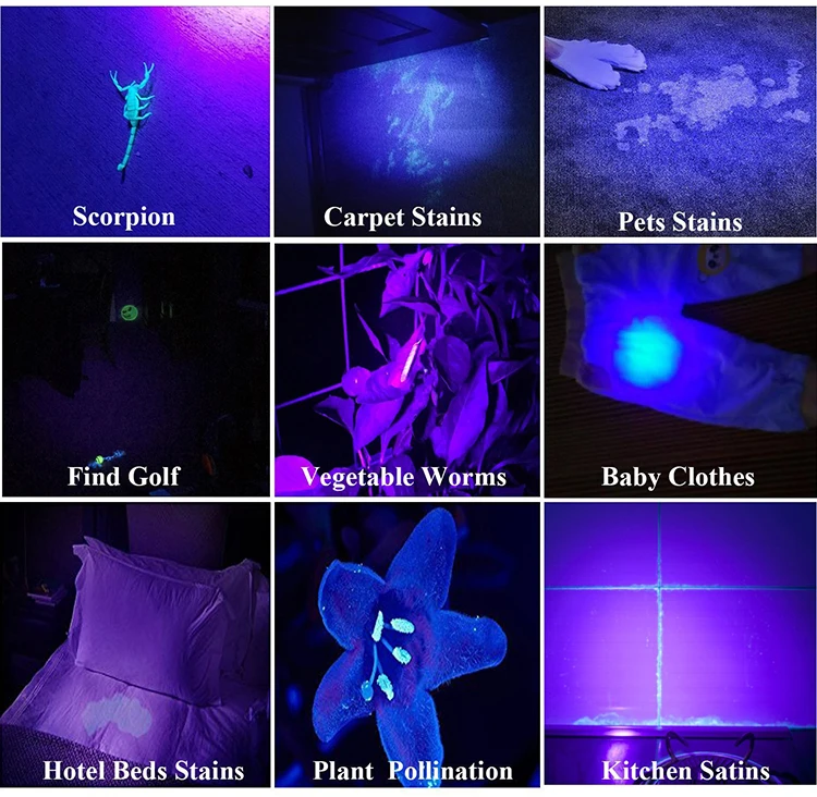 2020 new ultraviolet detector 395nm purple flashlight 100 led uv