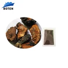 china supplier chaga mushroom extract capsule