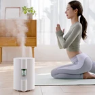 Yoga Room Aromatherapy Diffuser Ultrasonic Air Humidifier
