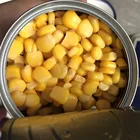 Canned Corn Canned Canned Sweet Corn